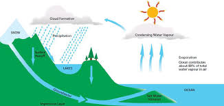 Endless Potential: How Rainwater Harvesting Promotes Renewable Water Solutions
