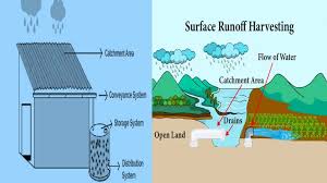 Rainwater Harvesting in India: 2025 Water Level Updates & Groundwater Recharge Impact