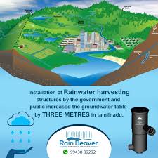 Rainwater Harvesting Success Stories: Water Table Improvements & Regional Data